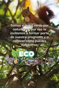 Eco Irotama Irotama Resort Alojamiento